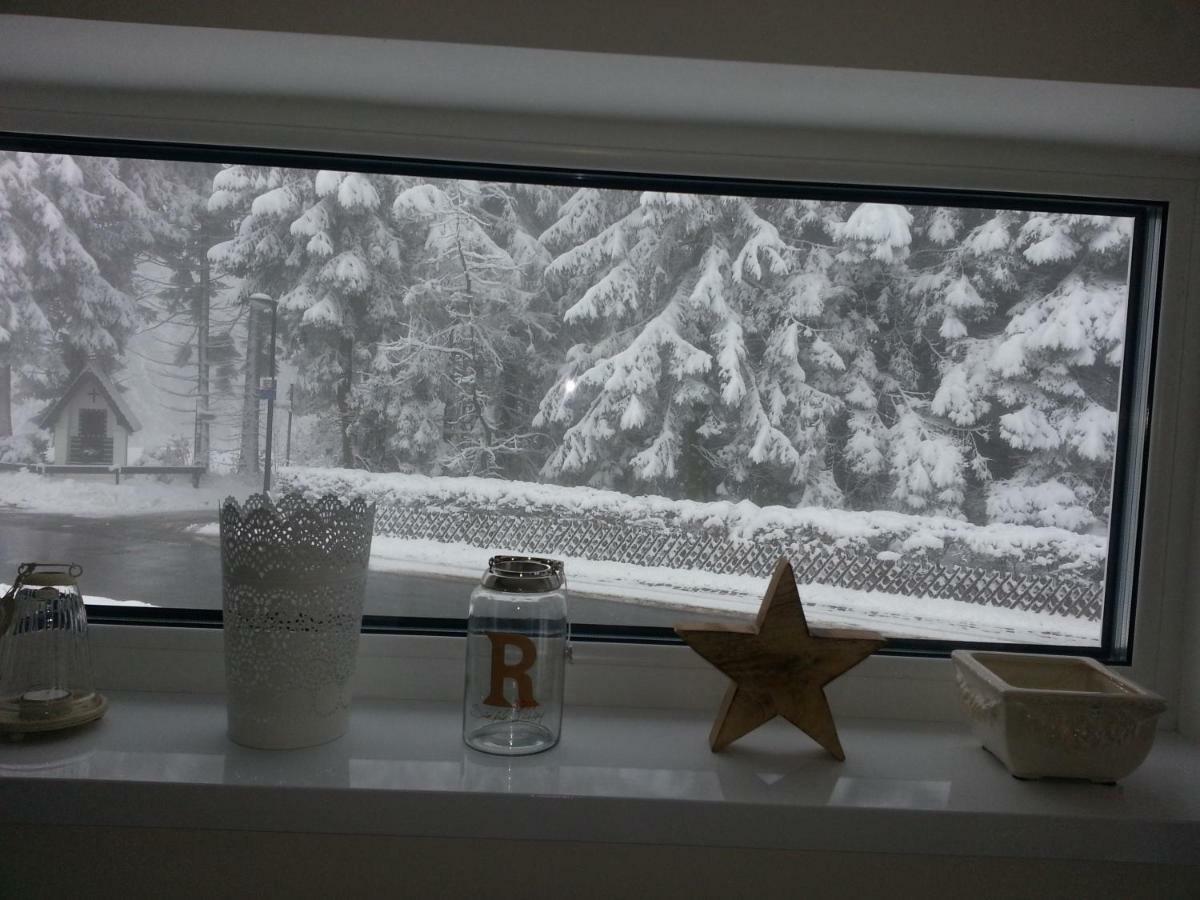 Ferienhaus Bergidylle Winterberg Buitenkant foto