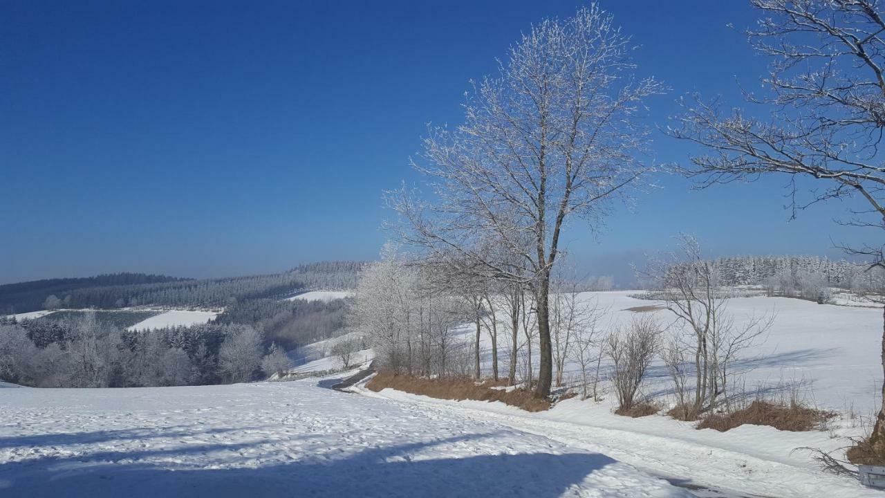 Ferienhaus Bergidylle Winterberg Buitenkant foto