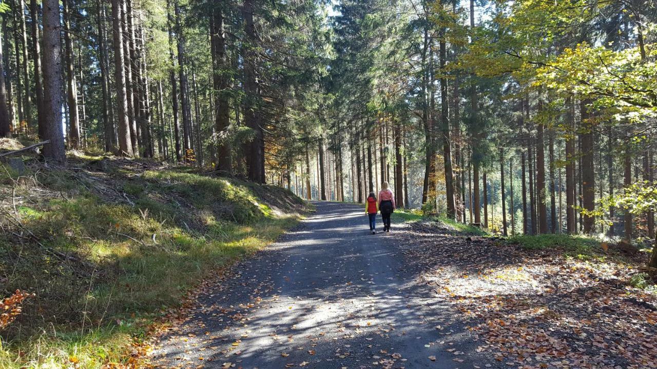 Ferienhaus Bergidylle Winterberg Buitenkant foto
