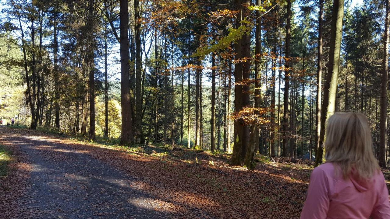 Ferienhaus Bergidylle Winterberg Buitenkant foto