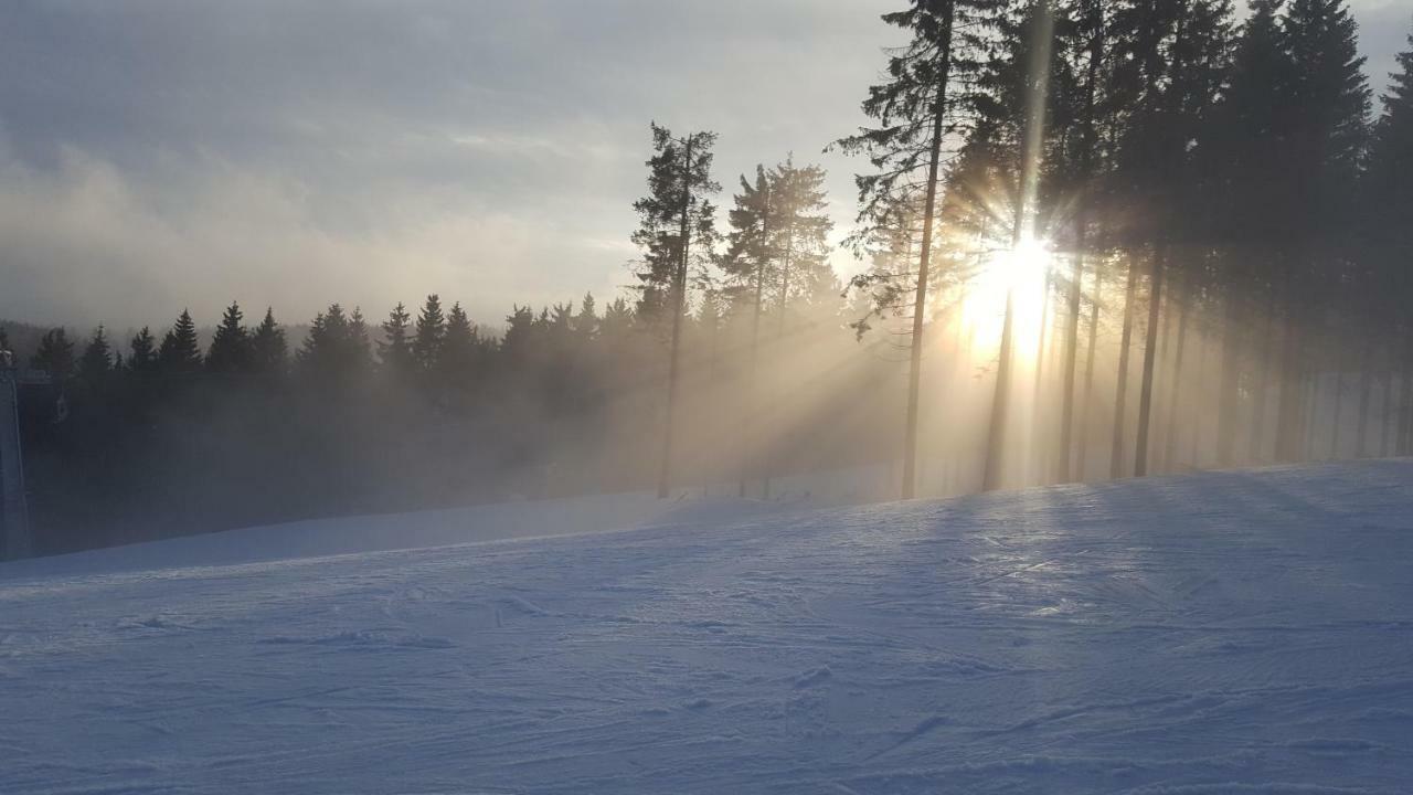Ferienhaus Bergidylle Winterberg Buitenkant foto
