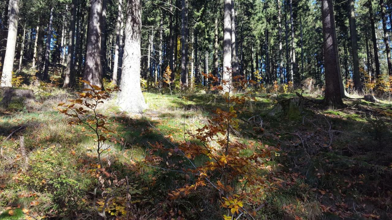 Ferienhaus Bergidylle Winterberg Buitenkant foto