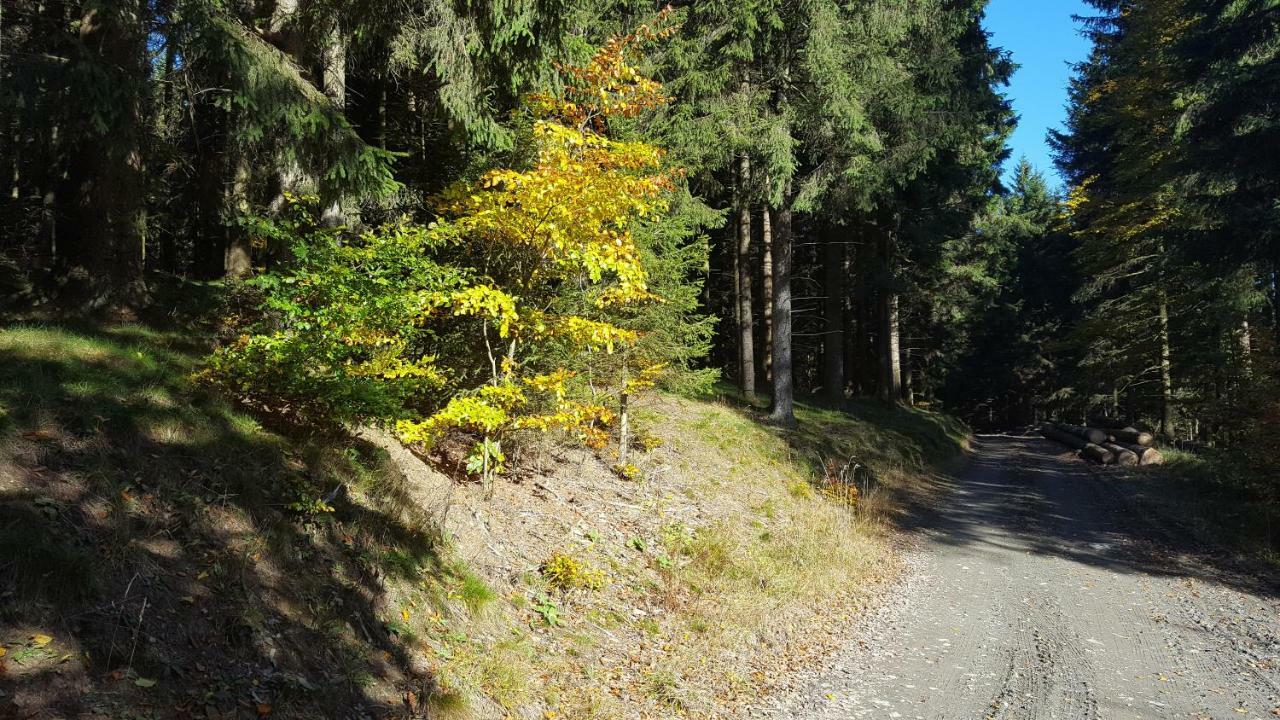 Ferienhaus Bergidylle Winterberg Buitenkant foto
