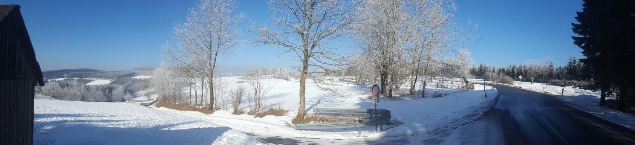Ferienhaus Bergidylle Winterberg Buitenkant foto