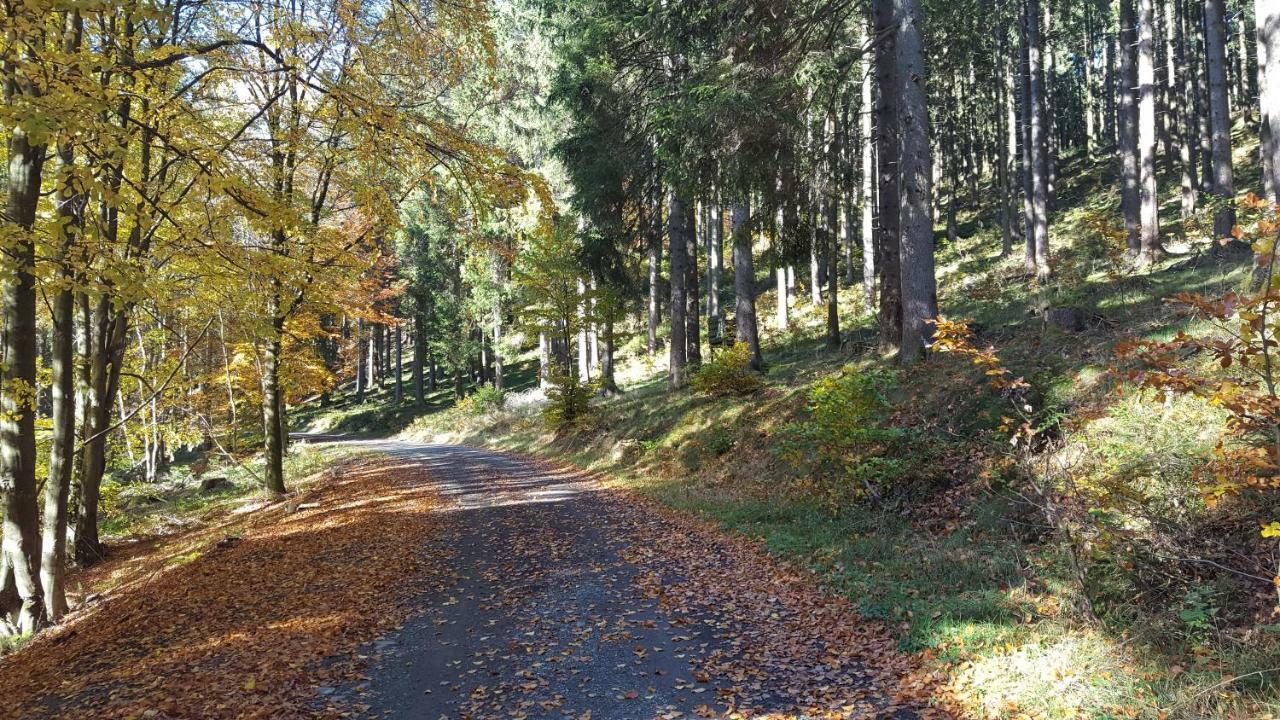 Ferienhaus Bergidylle Winterberg Buitenkant foto