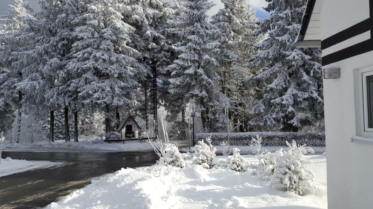 Ferienhaus Bergidylle Winterberg Buitenkant foto