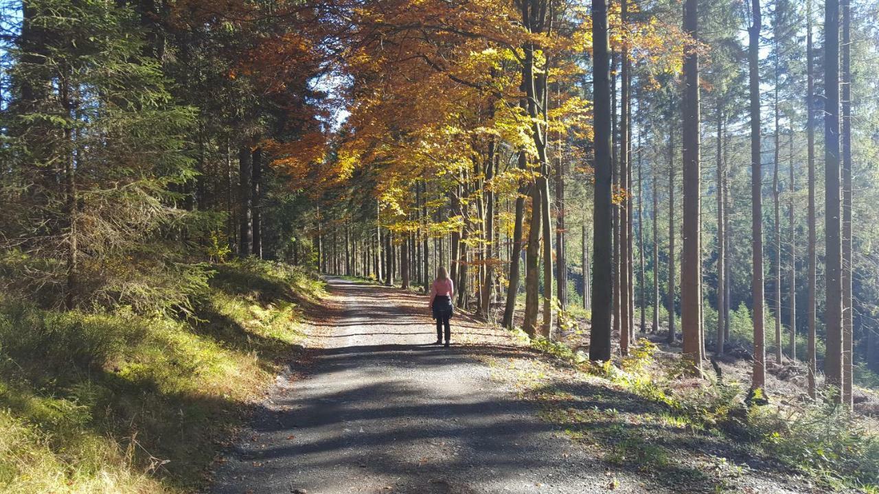 Ferienhaus Bergidylle Winterberg Buitenkant foto