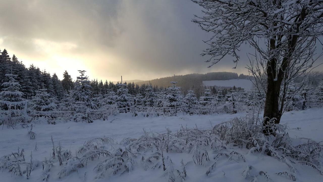 Ferienhaus Bergidylle Winterberg Buitenkant foto