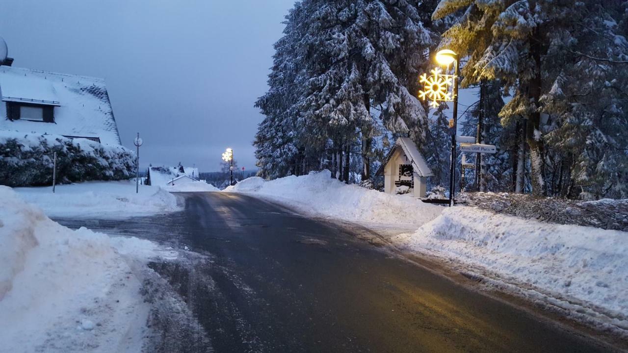 Ferienhaus Bergidylle Winterberg Buitenkant foto