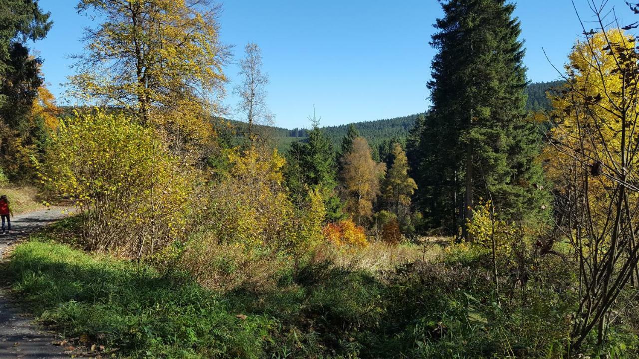 Ferienhaus Bergidylle Winterberg Buitenkant foto